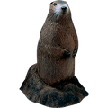 Delta McKenzie Targets - Woodchuck