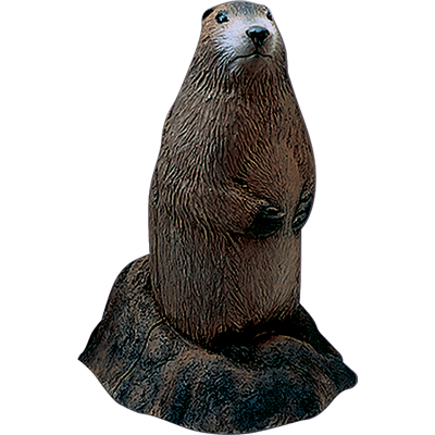 Delta McKenzie Targets - Woodchuck