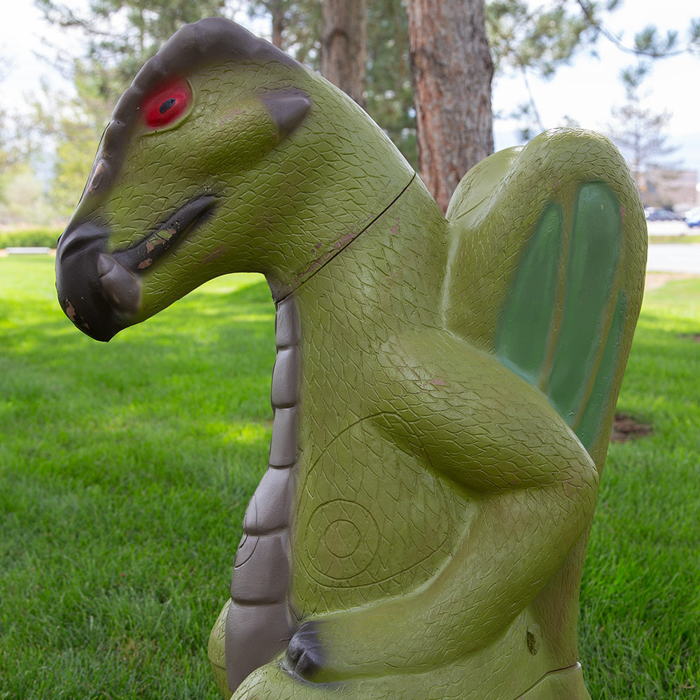 Dragon Backyard Archery Target
