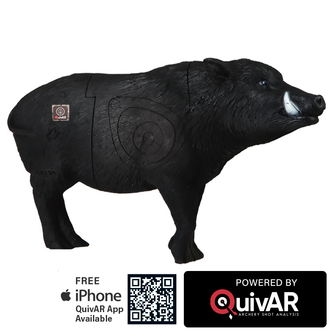 Backyard Wild Boar QuivAR Enabled 3D Archery Target
