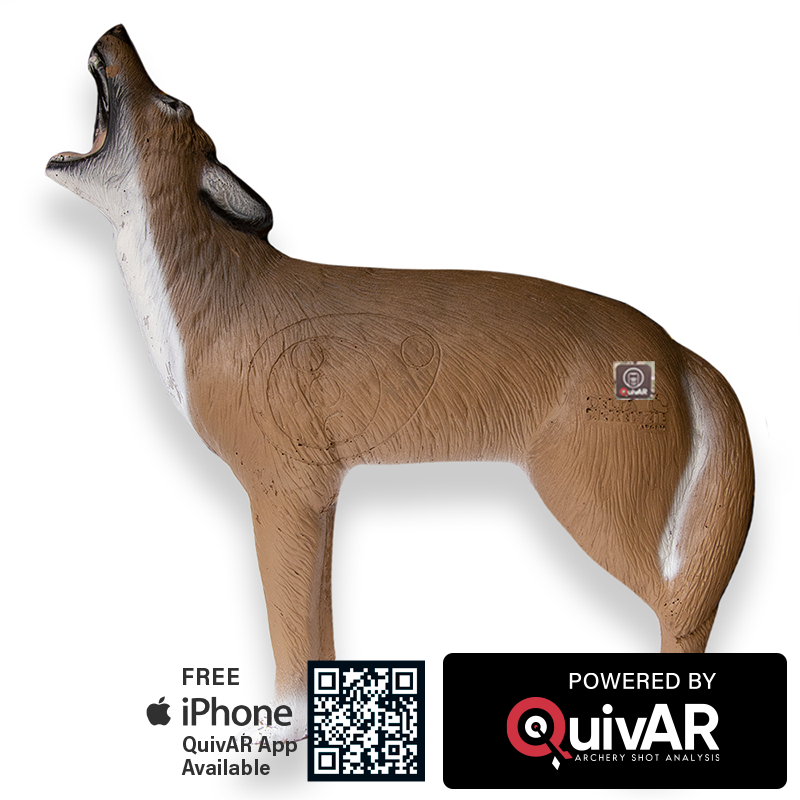 Howling Coyote QuivAR Enabled 3D Archery Target