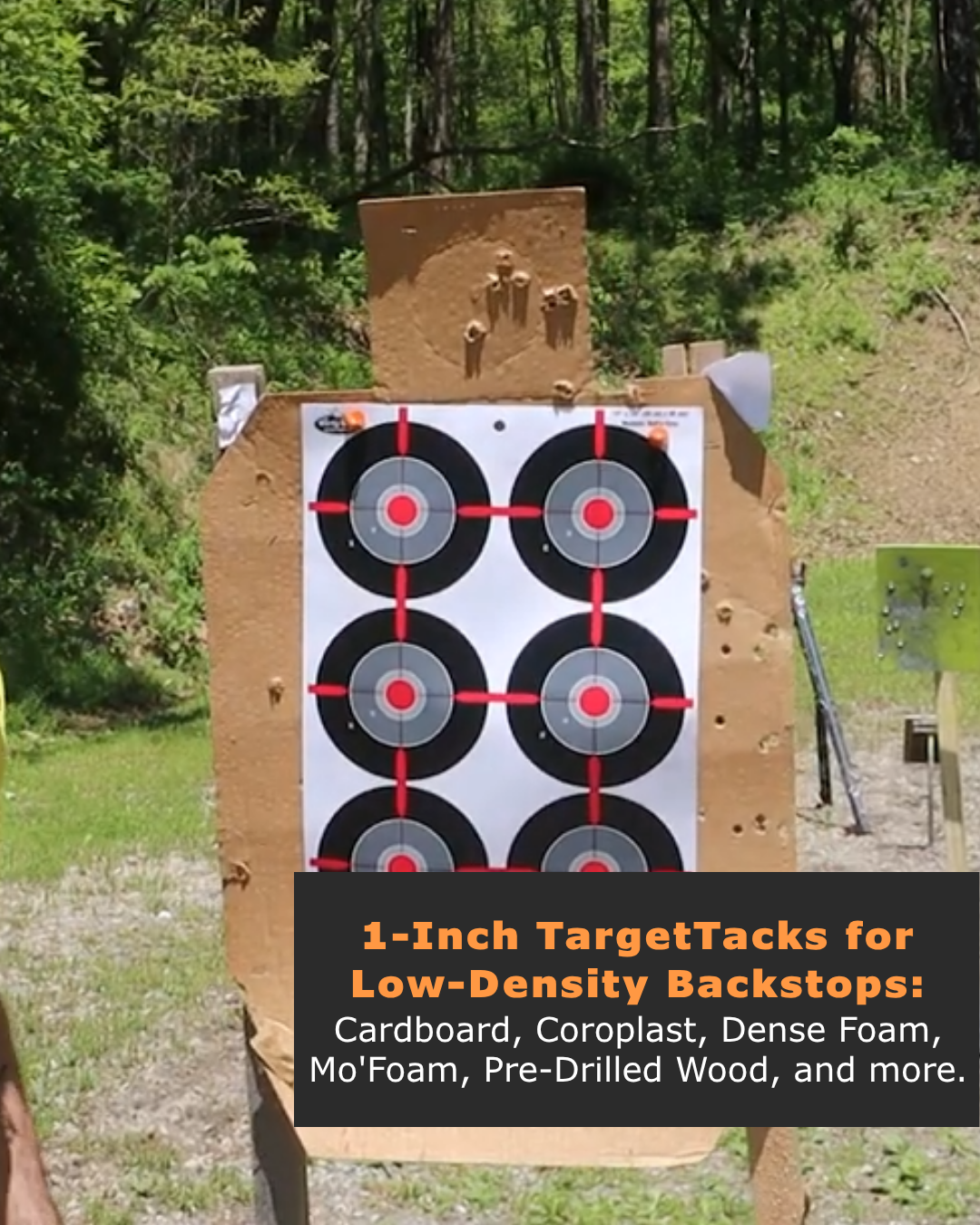 1-Inch 6-Pack of TargetTacks®