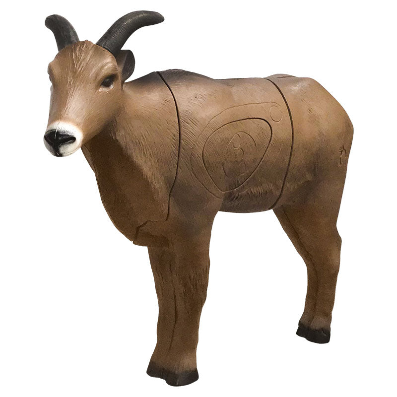 Aoudad 3D Archery Target