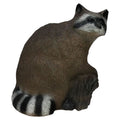 Product photo of raccoon backyard archery target