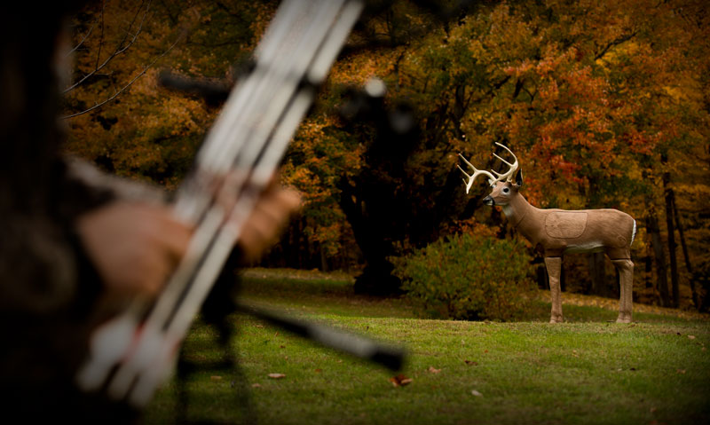 Delta McKenzie Archery Targets - Bloodline Buck