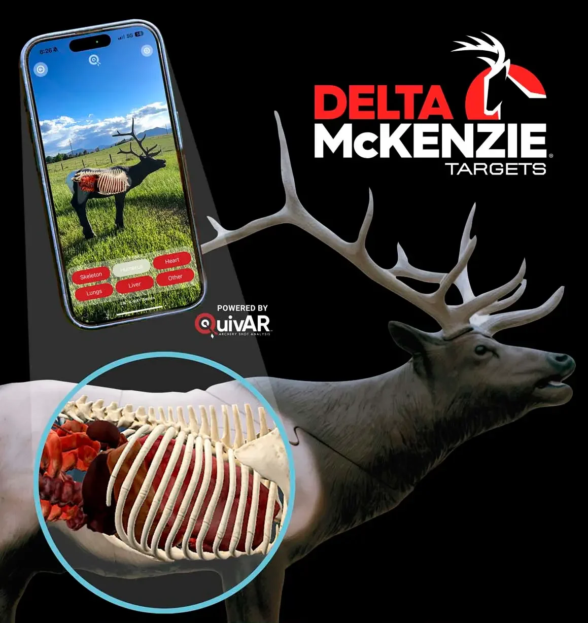 Delta McKenzie XRay Series Targets