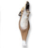 Howling Coyote 3D Archery Target