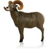 Delta McKenzie Targets - Bighorn Sheep 3D Archery Target