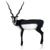 Delta McKenzie Targets - Black Buck 3D Archery Target