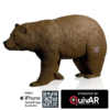Walking Brown Bear QuivAR Enabled 3D Archery Target