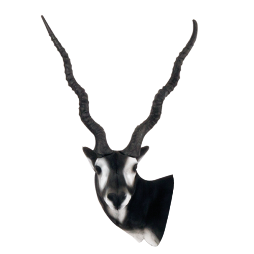Black Buck 3D Archery Target Head Delta McKenzie