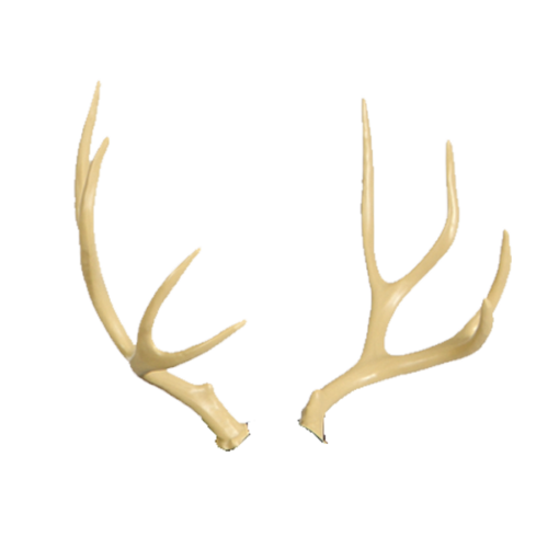 Mule Deer Antler Replacement Delta McKenzie Replacement Parts