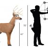 Delta McKenzie - Big Daddy Buck 3D Archery Target