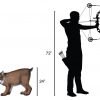 Delta McKenzie - Lynx 3D Archery Target
