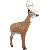 Delta McKenzie Hoosier Daddy Buck Archery Target