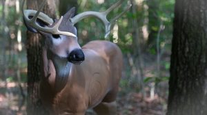 Delta McKenzie - Why Choose a 3D Archery Target