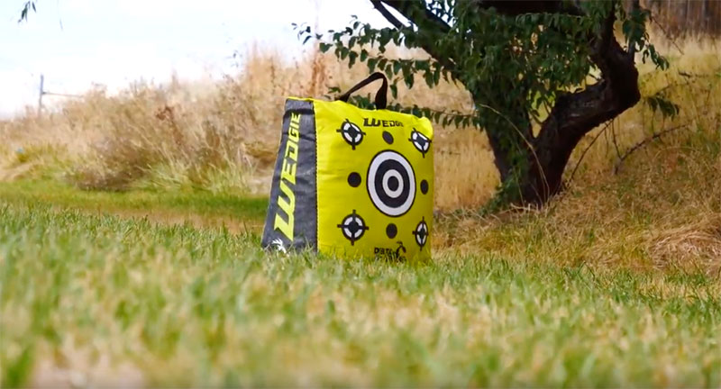 Read more about the article Wedgie™ Bag Target – Now Available in a Portable 20″ Model