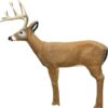 Bowhunter Base Camp Buck